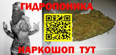 МДПВ Сосновый Бор