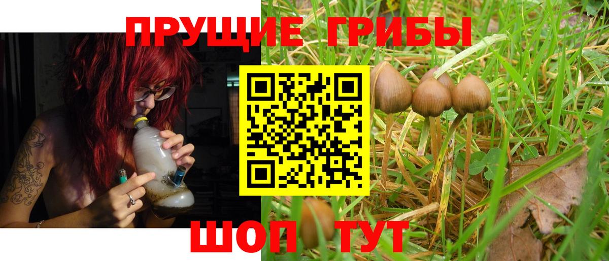 Великие Луки  Галлюциногенные грибы мицелий  Псилоцибиновые грибы Magic Shrooms  Вход с VPN 