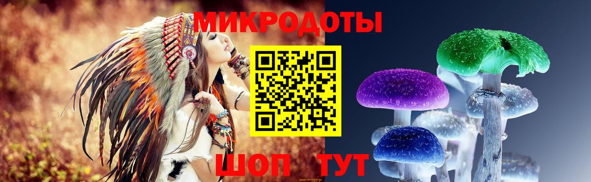 Галлюциногенные грибы Cubensis Великие Луки